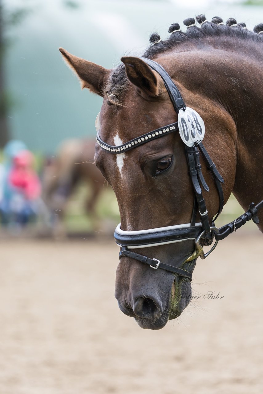 Bild 602 - Pony Akademie Turnier